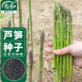 寿禾 芦笋种子种苗多年生四季种植蔬菜种籽 潍育齐松绿芦笋种子100粒