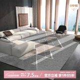 布迪思 地毯客厅地毯卧室茶几沙发毯可定制北欧简约现代满铺加厚防滑垫 新款4 140*200cm小客厅