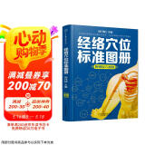 经络穴位标准图册