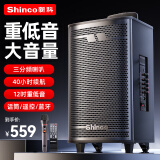 新科广场舞音响户外蓝牙音箱低音炮大音量家用k歌便携式移动扩音器地摊摆摊大喇叭 12吋单咪