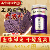 丽天承 南京同仁堂紫苏叶茶干紫苏籽子叶搭新鲜干货苏籽子叶茶泡水泡脚