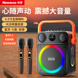 纽曼（Newmine）K516蓝牙音箱家用k歌hifi高音质无线便携式音响户外新款低音炮带麦克风超长续航实用礼物