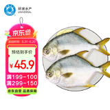 环球水产 南海金鲳鱼700g 2条 BAP认证深海鱼 冷冻 生鲜鱼类海鲜 家庭聚餐