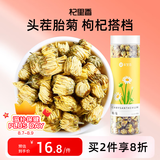 杞里香 桐乡胎菊 花草茶 菊花茶凉茶 罐装40g