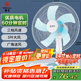 华生（Wahson）电风扇/台扇/落地扇/低音风扇/大风量家用定时电扇空调伴侣交流定频电风扇 FT-A1401 