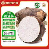 生鲜密语 广西荔浦芋头 正宗荔浦芋 新鲜香芋 火锅食材 生鲜蔬菜 当季新货 3-5个2.5kg 净重4.9斤 1份装（超值划算）