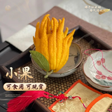 临雅佛手柑水养绿植水培植物佛手瓜摆件室内盆栽插花小果1颗源头直发