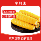 京鲜生吉林黄糯玉米棒8根 3.2斤以上 东北甜黏玉米 多种包装随机发货