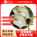 环球水产 冷冻南海二去金鲳鱼900g2条 去鳃去脏 深海鱼生鲜鱼类  家庭聚餐