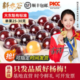 轩农谷 正宗仙居杨梅新鲜东魁大杨梅现摘现发特大乒乓杨梅时令水果礼盒 16A单果25-30g 80颗