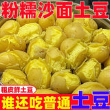 陇百味甘肃定西土豆2025年新挖粉糯面沙高山洋芋鲜马铃薯定西特产新鲜 单果3两起9斤中果