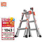 雷都捷特（LittleGiant） 伸缩人字梯/直梯可折叠多功能梯子铝合金家用/工程梯15413-001