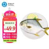 环球水产南海大规格金鲳鱼550g1条 BAP认证 海鱼 生鲜鱼类 火锅 海鲜水产