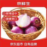 京鲜生 甘肃紫皮洋葱带皮 净重9斤 单果200g+ 新鲜蔬菜源头直发