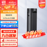 神牛（Godox） LC500Mini补光灯棒灯补光棒手持摄影灯户外便携直播拍照 人像美颜灯双色温版 可拆卸电池BG01手柄【黑色】 标配