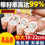 鱼姐海成 青岛海兔子满籽笔管鱼新鲜全籽籽乌鲜活冷冻海鲜水产1kg袋装