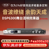麦乐迪DSP6300卡拉ok混响器 数字音频前级效果器 家庭影院防啸叫调音台处理器含话筒 调音台均衡器 DSP6300豪华升级版(含线) 标准版