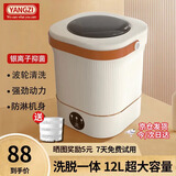 YANGZI扬子集团全自动迷你洗衣机小型洗脱一体 内衣内裤洗衣机学生宿舍 婴儿洗袜子机带脱水 标准款12L优雅白【洗脱一体+UV蓝光+强动力】
