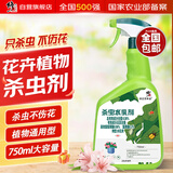 修正花卉杀虫剂植物通用喷雾月季花草绿土壤介蚧壳虫小黑飞蚜虫红蜘蛛
