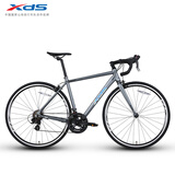 喜德盛（xds）【吴磊推荐】公路车RC200标准版14速变速深灰/镭射银 700C*510
