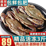 【销量60W+只】舟山超大梭子蟹鲜蟹活冻大螃蟹生鲜飞蟹大肉蟹 3斤4-6只【天花板】
