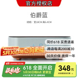 友茗堂 电陶炉茶炉家用煮茶炉烧水炉 铁壶迷你不挑壶光波电磁炉电炉大功率小型超薄围炉煮茶炉 【焕新升级】伯爵蓝