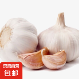 山东大蒜干蒜新鲜白皮精品大蒜 大蒜 100g 3到4头小果3-4厘米