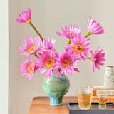 京东鲜花10枝粉色睡莲鲜花水养插花花束家庭客厅室内广州鲜花基地源头直发