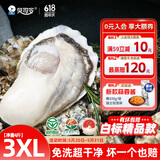 贝司令（BEISILING）【鲜活】乳山生态生蚝牡蛎贝类烧烤源头直发3XL净重4斤 端午聚餐