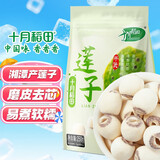 十月稻田 莲子 250g 半斤 湘潭产去芯磨皮白莲子 桂圆百合银耳羹煲汤食材 