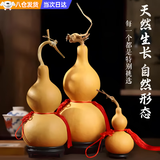 葫芦摆件天然葫芦风水挂件大号大葫芦文玩真葫芦龙头小葫芦风水化解道具带龙头招财摆件次日达手捻手盘葫芦 天然龙头葫芦挂件款【15-19CM】