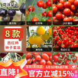 花沃里8款西红柿种子大全 蔬菜种子阳台花盆栽小番茄黑钻石紫珍珠大番茄