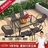 紫叶（ziye）户外阳台桌椅 休闲庭院座椅室外花园餐桌椅 简约现代 铁艺家具 6【椅】+1【120X80长桌】