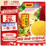 十月稻田 黄小米 溯源  2.5kg（小黄米 五谷杂粮 粥米早餐小米粥）5斤