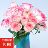 【玫瑰花】10枝装特价云南鲜花直发节日鲜花礼物花束家用水养插花 爱莎玫瑰10枝
