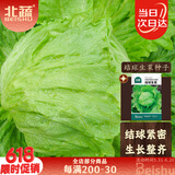 北蔬 结球生菜种子种苗圆生菜球绿叶盆栽蔬菜种籽 结球生菜种子10g