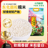 十月稻田 糯米 5斤（黏米江米 粽子米 东北 五谷杂粮 粥米伴侣 端午节）