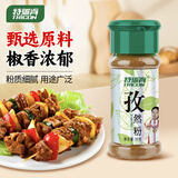 特瑞肯（TRICON）孜然粉烧烤羊肉串火锅撒料炖肉腌肉牛排炸鸡排调味品35g/瓶送礼