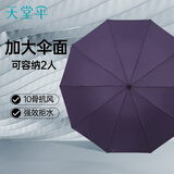 天堂伞强效拒水雨伞防风加固十骨大伞三折便携商务雨伞男女士 10骨大雨伞-紫兰