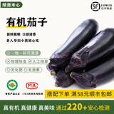 绿源禾心有机茄子新鲜现摘长紫茄子黑把茄子农家时令自然熟健康无农残蔬菜 一斤