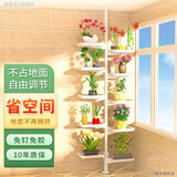 丽室佳人顶天立地花架阳台客厅简约绿萝爬藤架子落地式悬挂室内花盆置物架 白/10方托/适用高1.1~3.2米