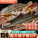舟山超大梭子蟹新鲜蟹活冻大螃蟹冰鲜飞蟹花盖蟹生鲜 蟹类 5斤6-9只【169】
