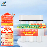 道尔顿（Doulton）净水器家用直饮 厨房自来水龙头过滤器矽藻陶瓷饮水机超滤净水机无废水厨下式 D-IP301