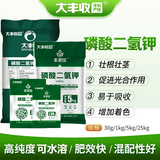 大丰收丰创严选磷酸二氢钾叶面肥磷钾促生根开花稳果增甜着色农用花卉水溶肥化肥 1kg*1袋