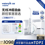 洁碧（Waterpik）冲牙器家用台式洗牙器水牙线洁牙器家用预防牙结石小魔盒GT17-12白礼物父亲节礼物