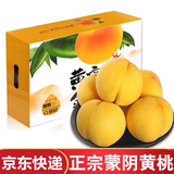 京地达黄桃水果礼盒装桃子蒙阴新鲜应季 净重5斤 单果150g起 源头直发
