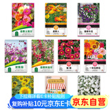 花沃里10款花种子套餐 花卉种子组合太阳花凤仙花向日葵四季种野花种籽