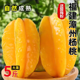 星云湖 福建漳州红龙杨桃水果精选大果酸甜孕妇新鲜水果下河洋桃生鲜 净重 5斤8-12个【精选品质60%客户选择】