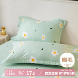 艾薇水洗棉磨毛枕头套一对枕芯套枕套 小香绿 48*74cm