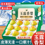 京地达山东梨子玉露香梨新鲜水果礼盒送礼净重9斤单果260g+源头直发包邮